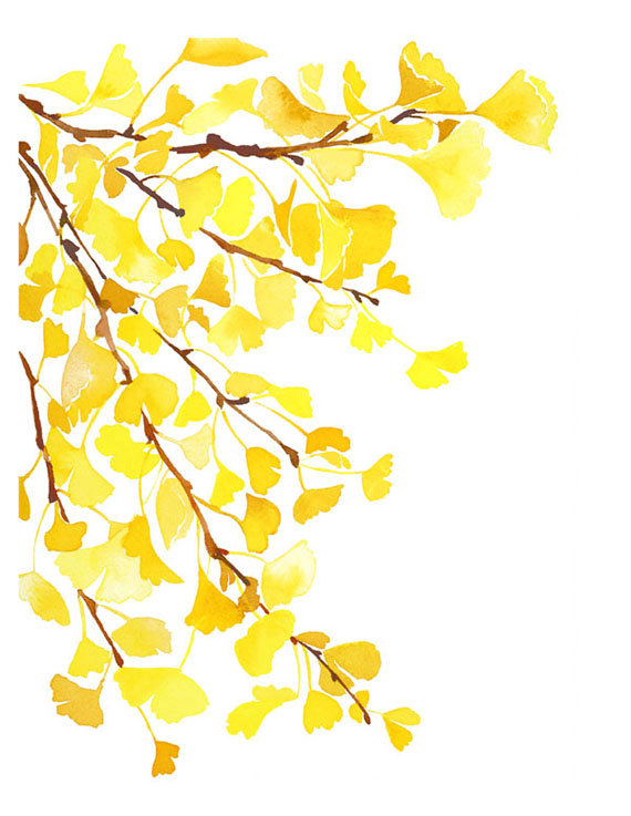 clip art ginkgo leaf - photo #37